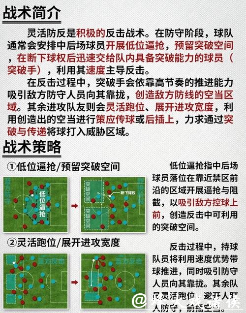 深入解读世界杯球队表现与战术分析